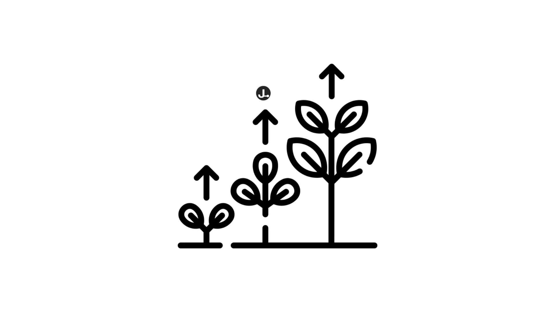 Growth Innovation